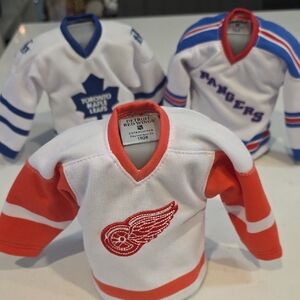 Toronto Maple Leafs, New York Rangers And Detroit Red Wings Mini Jersey